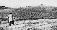 Nome File=MM~58.jpg
Dimensione File=528KB
Dimensioni=1024x544
Data aggiunta=Ago 05, 2012 MM~58.jpg