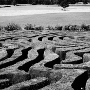 Nome File=Labyrinth.jpg
Dimensione File=339KB
Dimensioni=800x800
Data aggiunta=Apr 08, 2011 Labyrinth.jpg