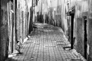 mm-IMG_2001-small.jpg mm-IMG_2001-small.jpg