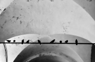 Filename=nine_birds.jpg
Filesize=238KB
Dimensions=850x564
Date added=May 19, 2011 nine_birds.jpg