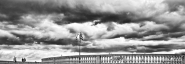 LIVORNO2.jpg LIVORNO2.jpg