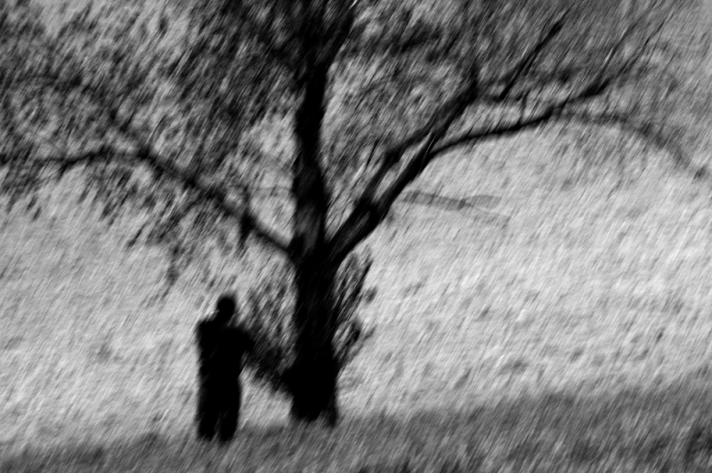 Clicca per l'immagine full size