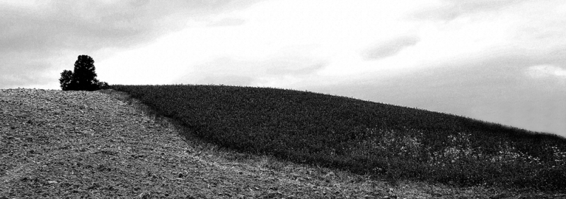 Clicca per l'immagine full size