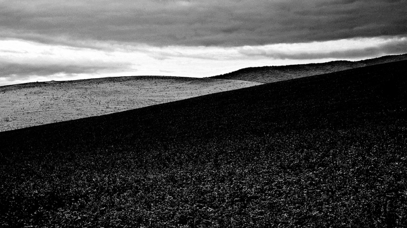 Clicca per l'immagine full size