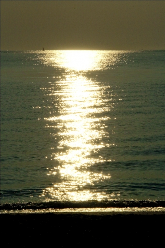 Clicca per l'immagine full size