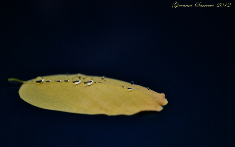 Clicca per l'immagine full size