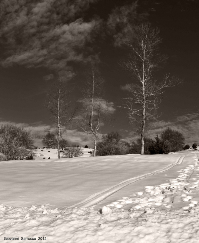 Clicca per l'immagine full size