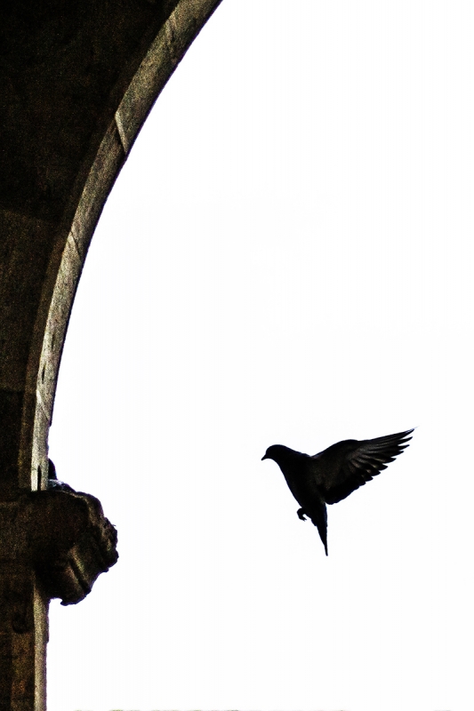 Clicca per l'immagine full size