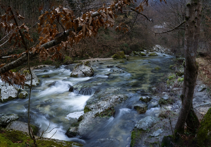 Clicca per l'immagine full size