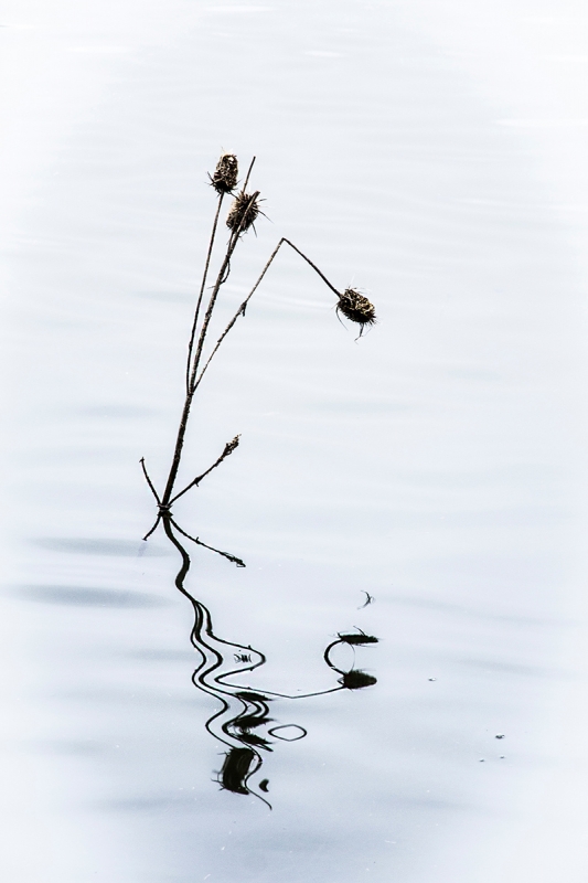 Clicca per l'immagine full size