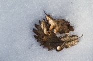 2013_12_22_inverno_1_dsc_0013_mm.jpg