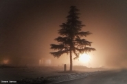 Nome File=fb_2017_01_25_FOG_IMG_20170125_004107_copia.jpg
Dimensione File=460KB
Dimensioni=1200x799
Data aggiunta=Gen 25, 2017 fb_2017_01_25_FOG_IMG_20170125_004107_copia.jpg