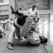 Nome File=fb_2018_02_04_JUDO_DSC_0215_Q.jpg
Dimensione File=454KB
Dimensioni=1200x1200
Data aggiunta=Feb 10, 2018 fb_2018_02_04_JUDO_DSC_0215_Q.jpg