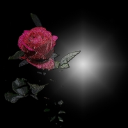 il_nome_della_rosa.jpg il_nome_della_rosa.jpg