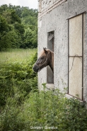 Nome File=mm_2016_05_21_la_casa_col_cavallo_DSC_0715.jpg
Dimensione File=466KB
Dimensioni=800x1200
Data aggiunta=Mag 22, 2016 mm_2016_05_21_la_casa_col_cavallo_DSC_0715.jpg