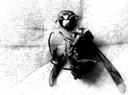 Nome File=20170814_085735.jpg
Dimensione File=528KB
Dimensioni=888x665
Data aggiunta=Set 10, 2017 20170814_085735.jpg