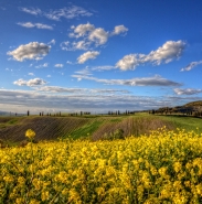 Wonderland-MM-1.jpg Wonderland-MM-1.jpg