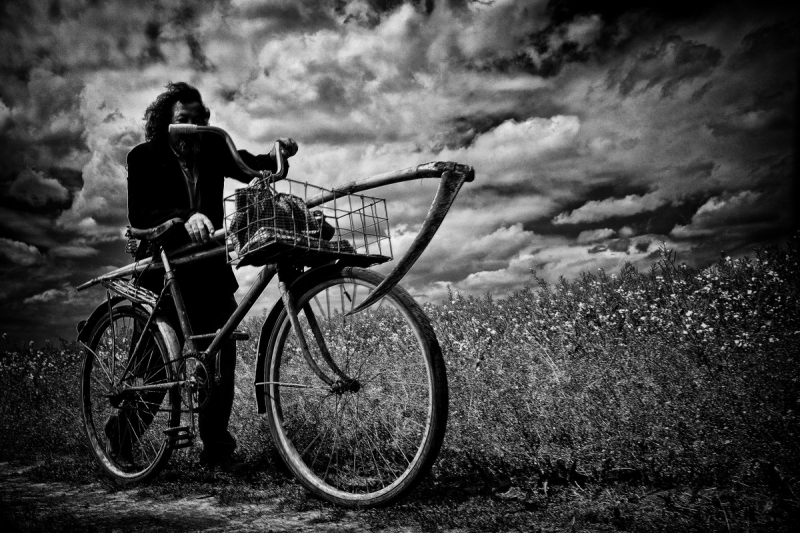 Clicca per l'immagine full size