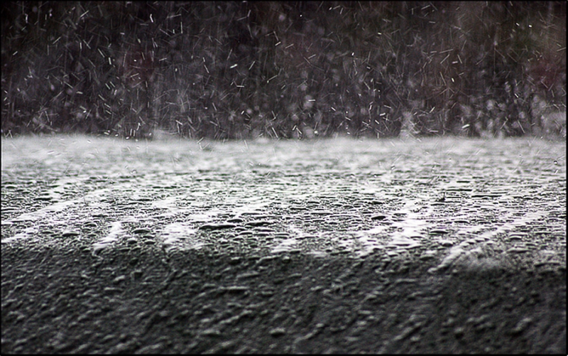 Clicca per l'immagine full size