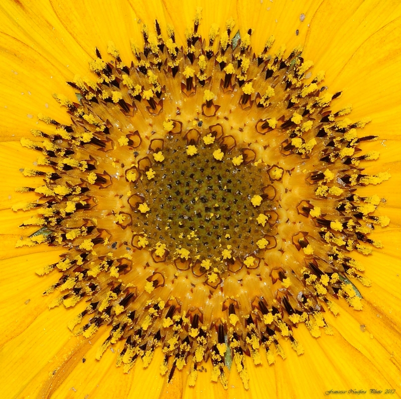 Clicca per l'immagine full size