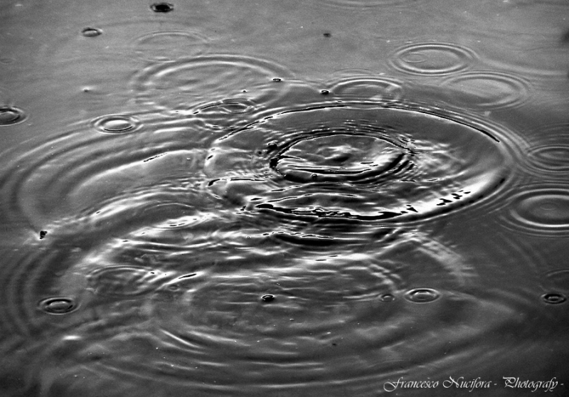 Clicca per l'immagine full size