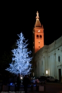 Ci-ricorda-il--Natale-___.jpg Ci-ricorda-il--Natale-___.jpg