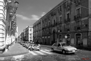 DSC06643.jpg