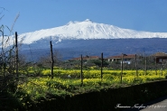 Nome File=Monte-ETNA~0.jpg
Dimensione File=296KB
Dimensioni=800x533
Data aggiunta=Giu 21, 2011 Monte-ETNA~0.jpg