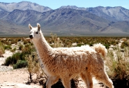 Cile___Argentina_1_(942)_(1020_x_695).jpg