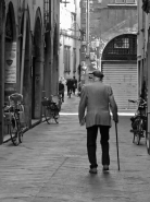 IMG_3667-copia.jpg IMG_3667-copia.jpg