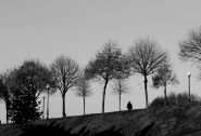 lucca10.jpg lucca10.jpg