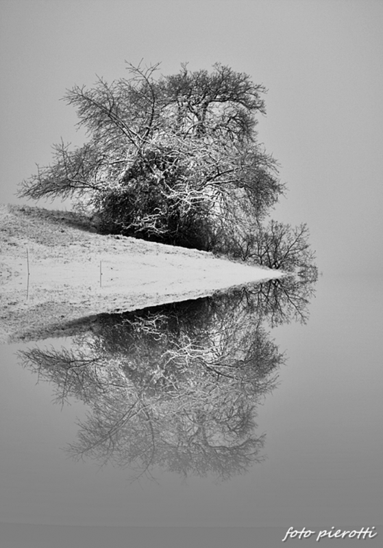 Clicca per l'immagine full size