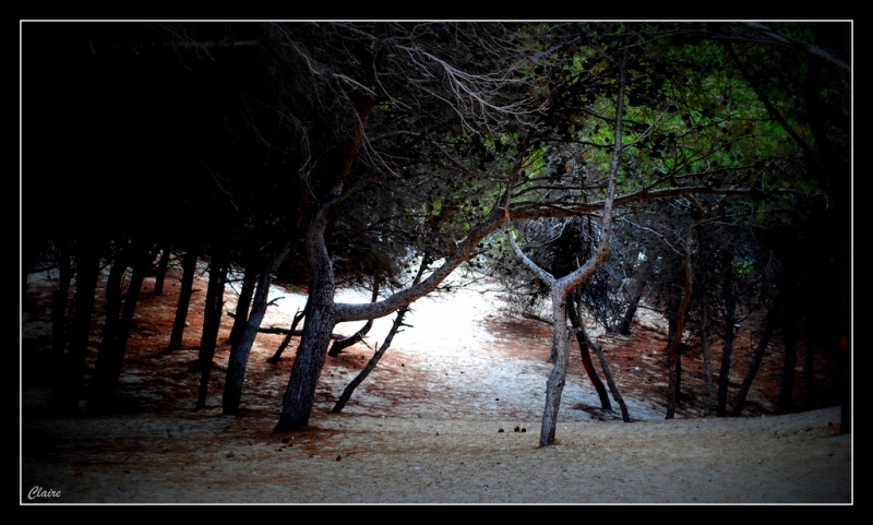 Clicca per l'immagine full size