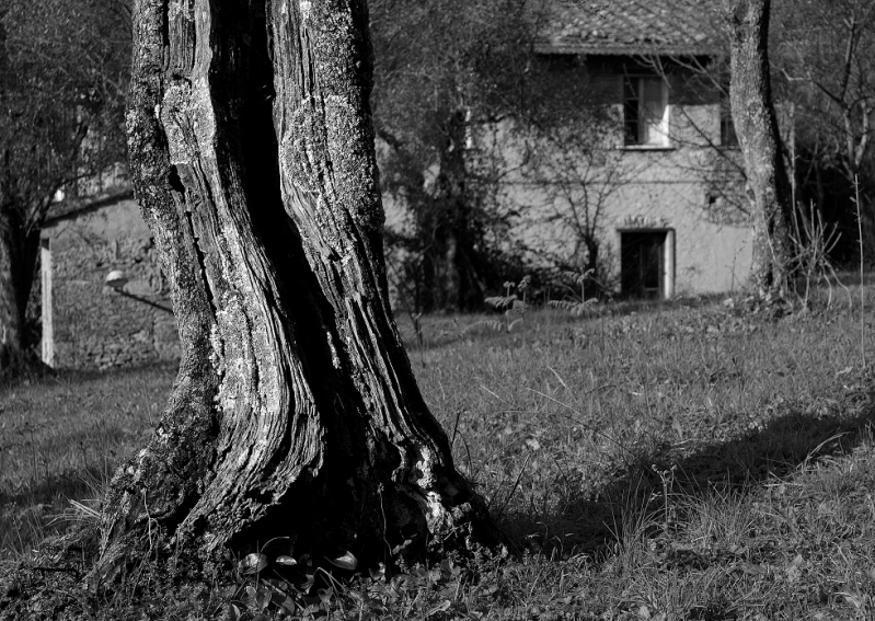 Clicca per l'immagine full size
