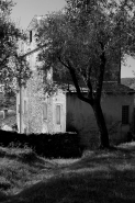 Nome File=11_-_Copia.jpg
Dimensione File=418KB
Dimensioni=650x975
Data aggiunta=Feb 28, 2014 11_-_Copia.jpg