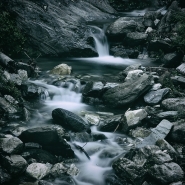 Filename=Torrente_2_-_Cardoso.jpg
Filesize=298KB
Dimensions=700x700
Date added=Nov 16, 2019 Torrente_2_-_Cardoso.jpg