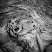 Filename=___Il_grido___.jpg
Filesize=391KB
Dimensions=800x800
Date added=Oct 15, 2014 ___Il_grido___.jpg