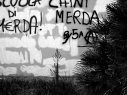 graffiti_bassa.JPG graffiti_bassa.JPG
