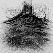 Nome File=ROOTS_.jpg
Dimensione File=278KB
Dimensioni=900x900
Data aggiunta=Lug 14, 2022 ROOTS_.jpg