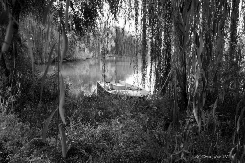 Clicca per l'immagine full size