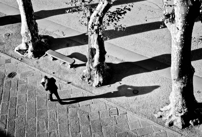 Clicca per l'immagine full size