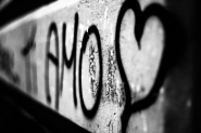 IMG_0230.jpg