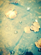 image~64.jpg