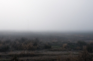 _DSC9256.jpg _DSC9256.jpg