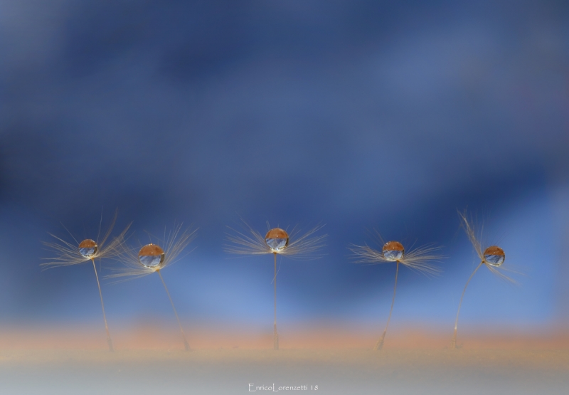 Clicca per l'immagine full size