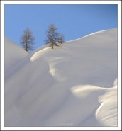 Nome File=20210214_1823_firma_micro.jpg
Dimensione File=252KB
Dimensioni=1121x1200
Data aggiunta=Feb 20, 2021 20210214_1823_firma_micro.jpg