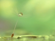 Filename=fb_firmu_micro.jpg
Filesize=432KB
Dimensions=1200x902
Date added=Jan 31, 2021 fb_firmu_micro.jpg