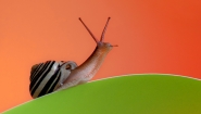 Nome File=luce.jpg
Dimensione File=308KB
Dimensioni=1020x581
Data aggiunta=Dic 20, 2012 luce.jpg