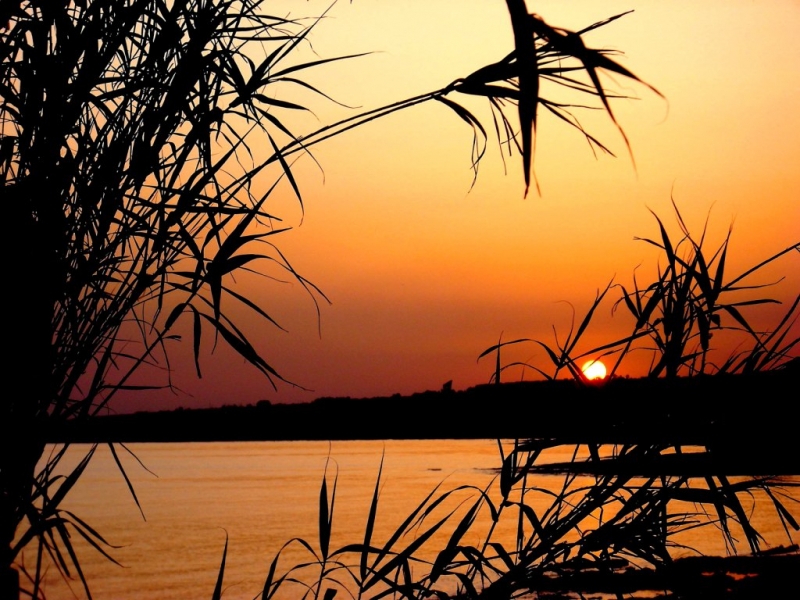 Clicca per l'immagine full size