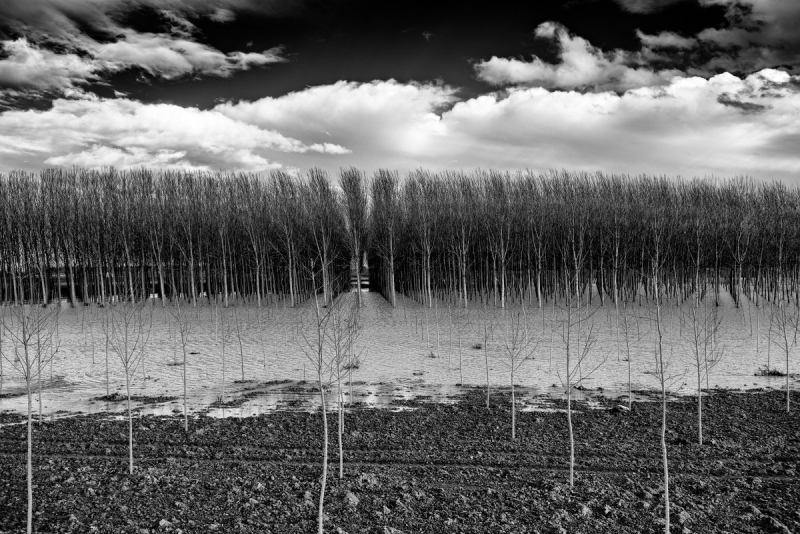 Clicca per l'immagine full size